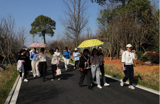 香港六宝合典资料大全