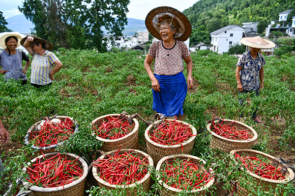 香港六宝合典资料大全