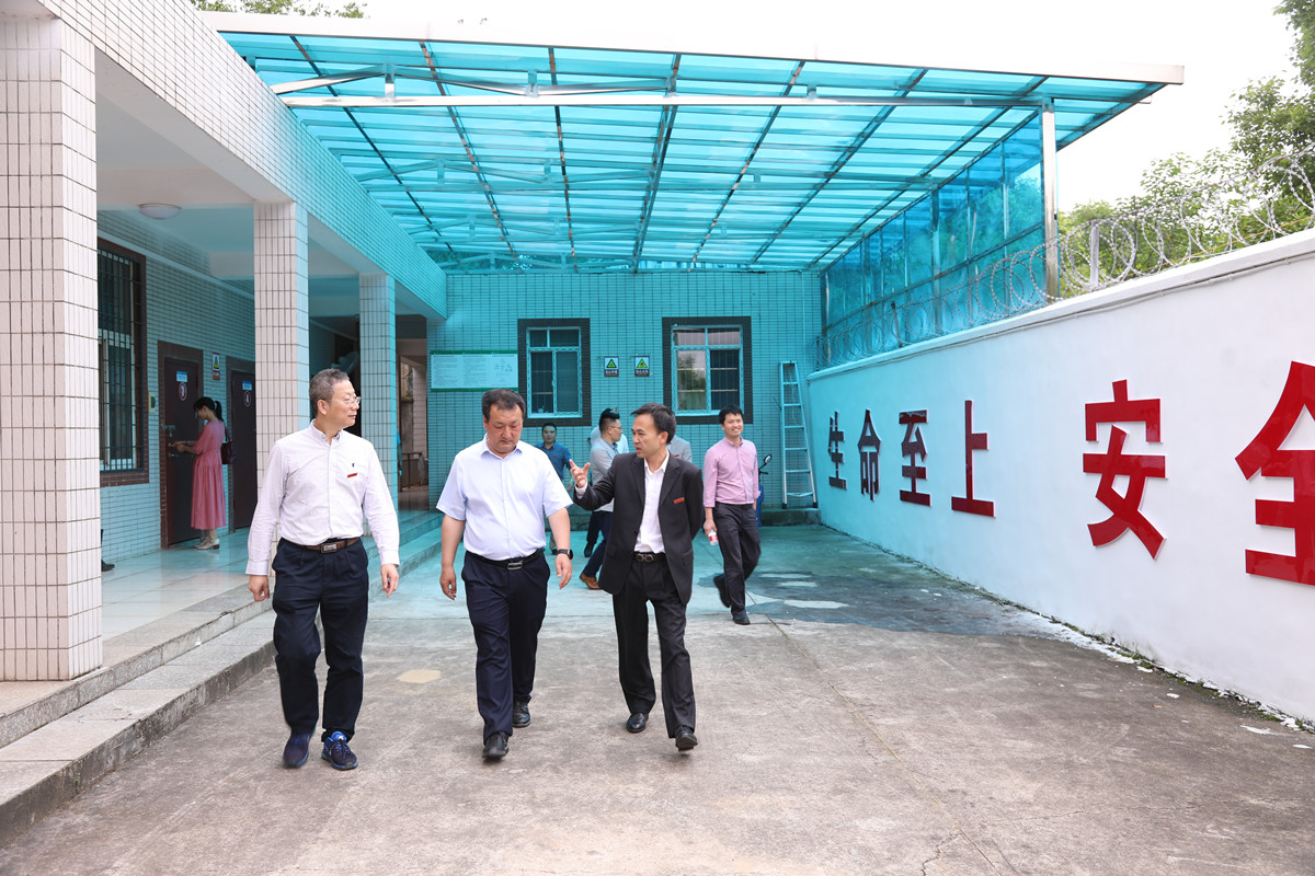 香港六宝合典资料大全