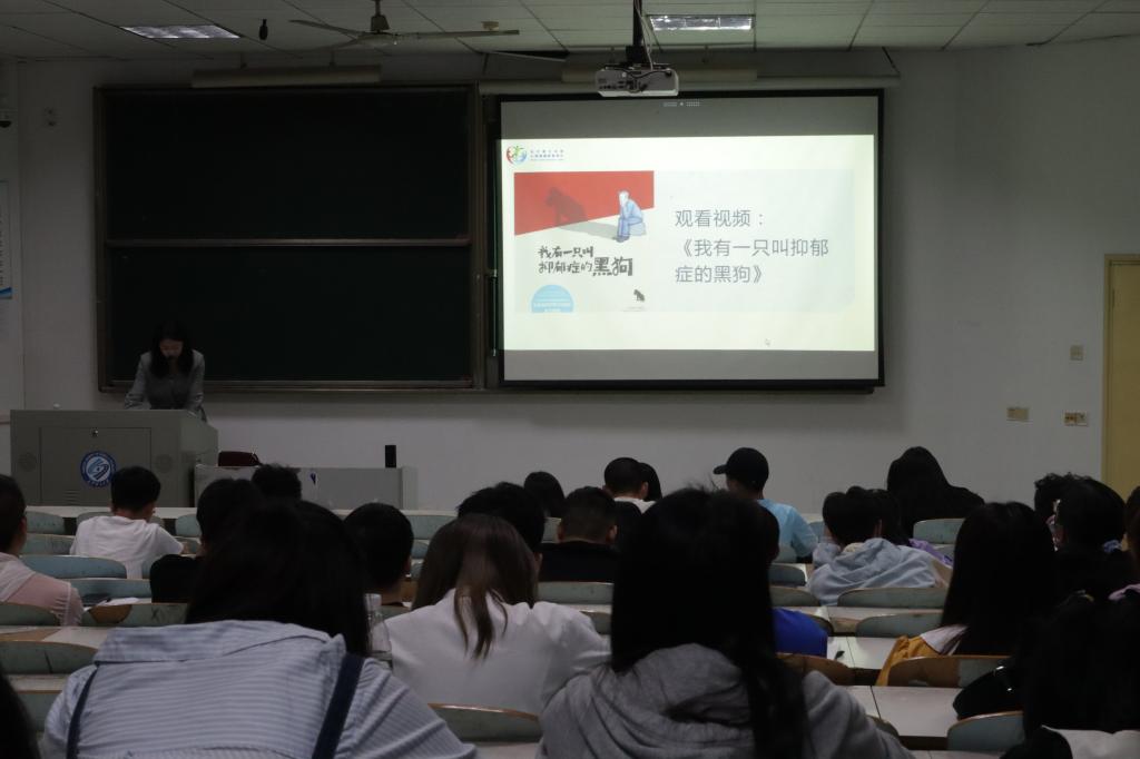 香港六宝合典资料大全