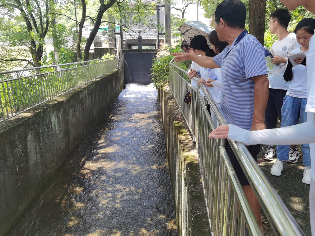 香港六宝合典资料大全