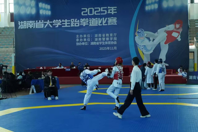 香港六宝合典资料大全