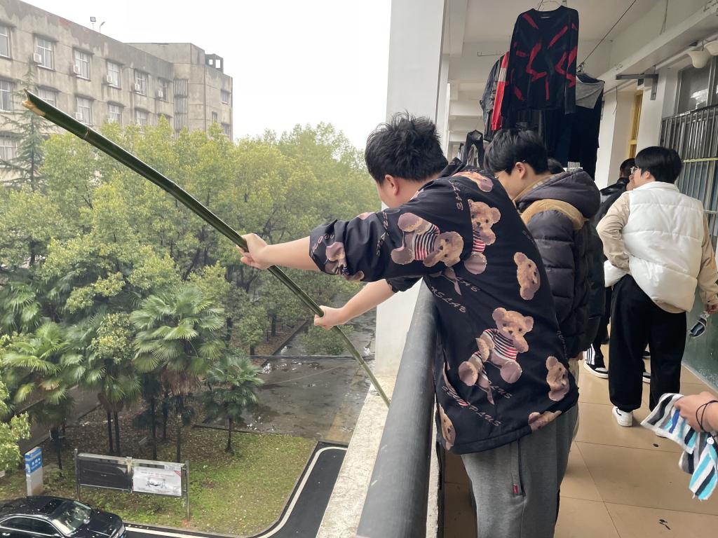 香港六宝合典资料大全