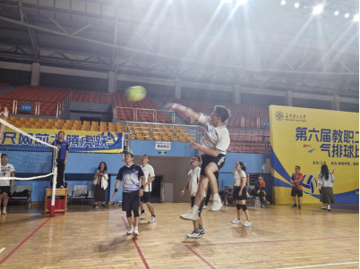 香港六宝合典资料大全