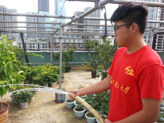 香港六宝合典资料大全