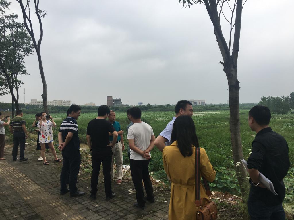 香港六宝合典资料大全