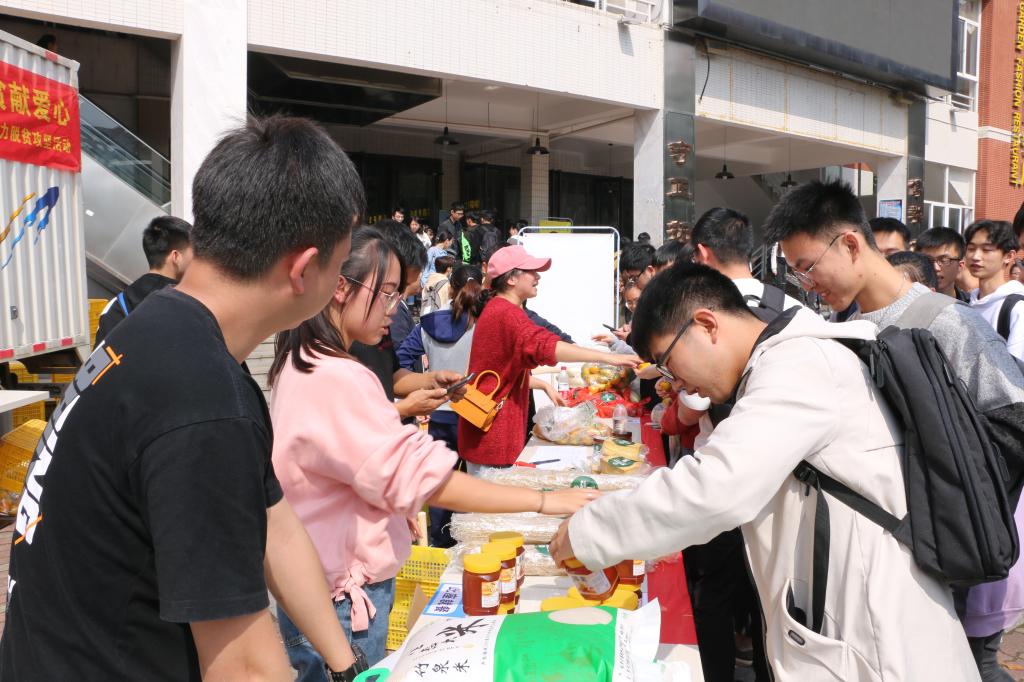 香港六宝合典资料大全