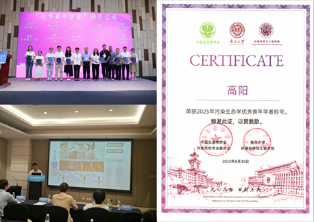 香港六宝合典资料大全