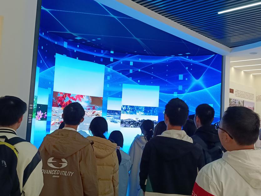 香港六宝合典资料大全