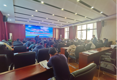 香港六宝合典资料大全