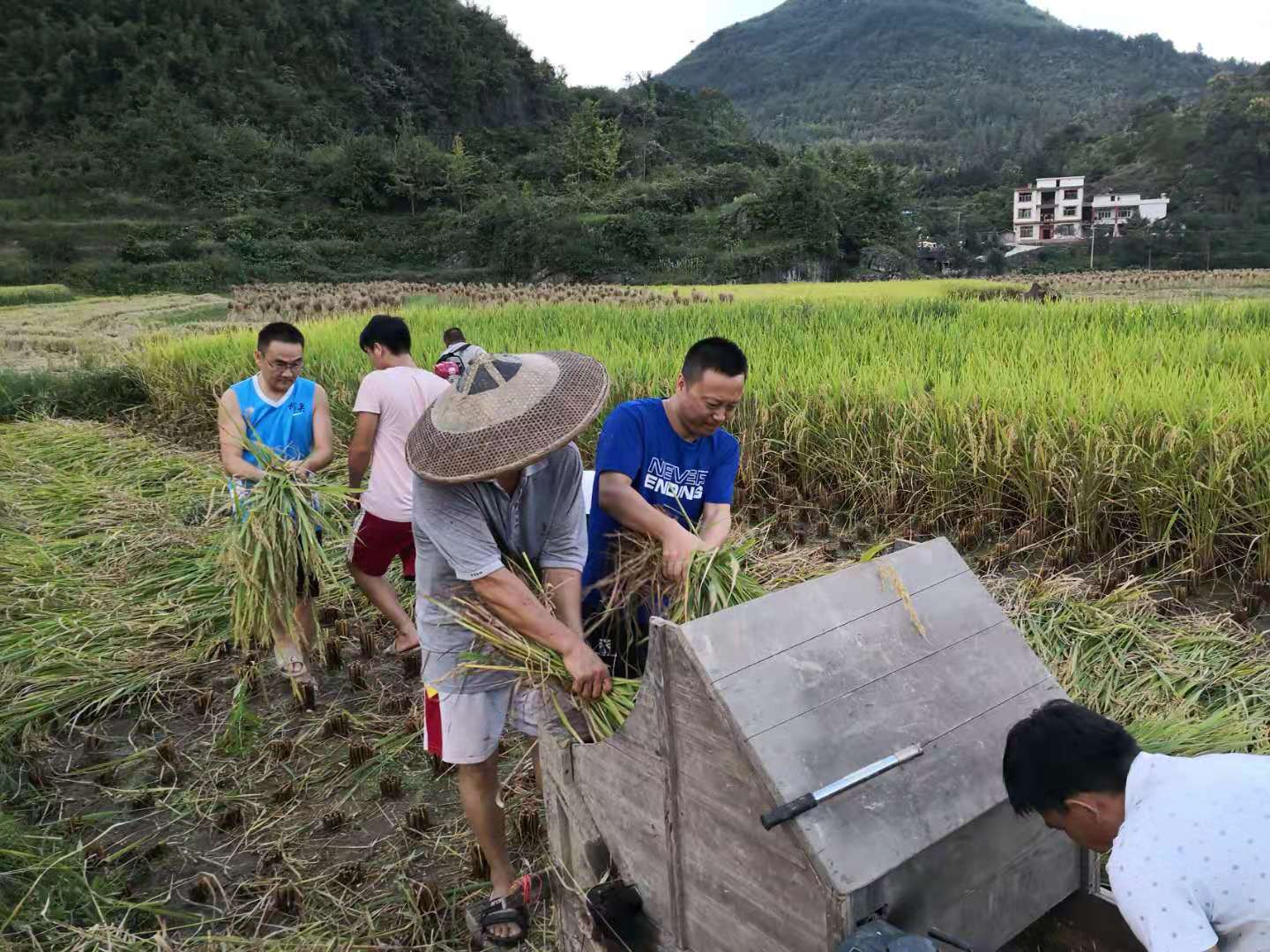 香港六宝合典资料大全