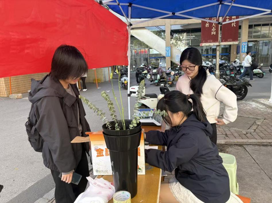 香港六宝合典资料大全