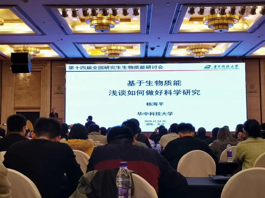 香港六宝合典资料大全