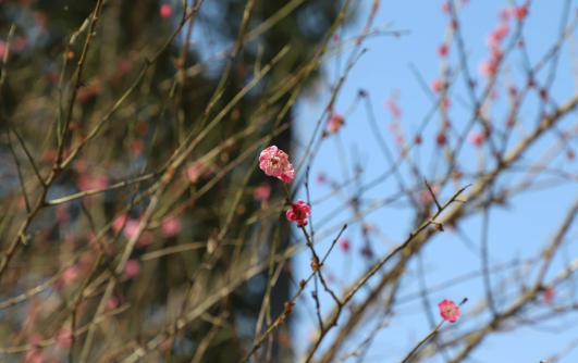 香港六宝合典资料大全