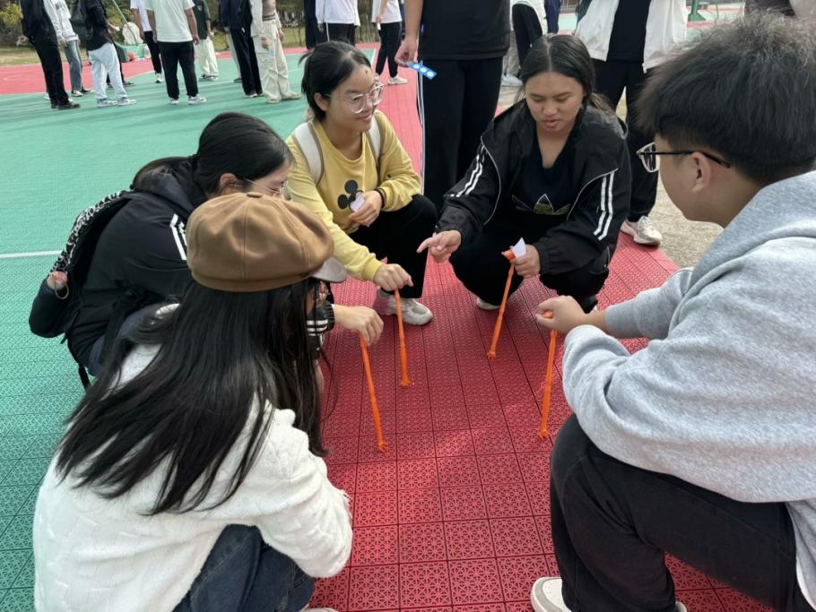 香港六宝合典资料大全