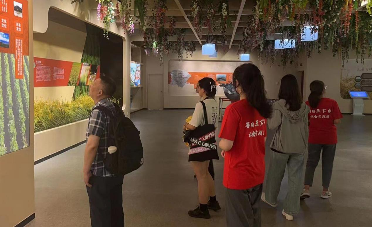 香港六宝合典资料大全