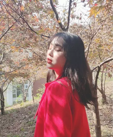 香港六宝合典资料大全