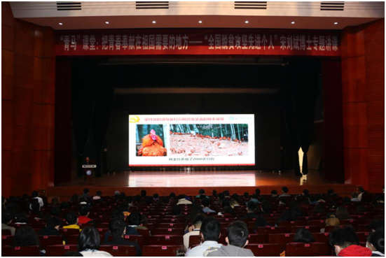 香港六宝合典资料大全