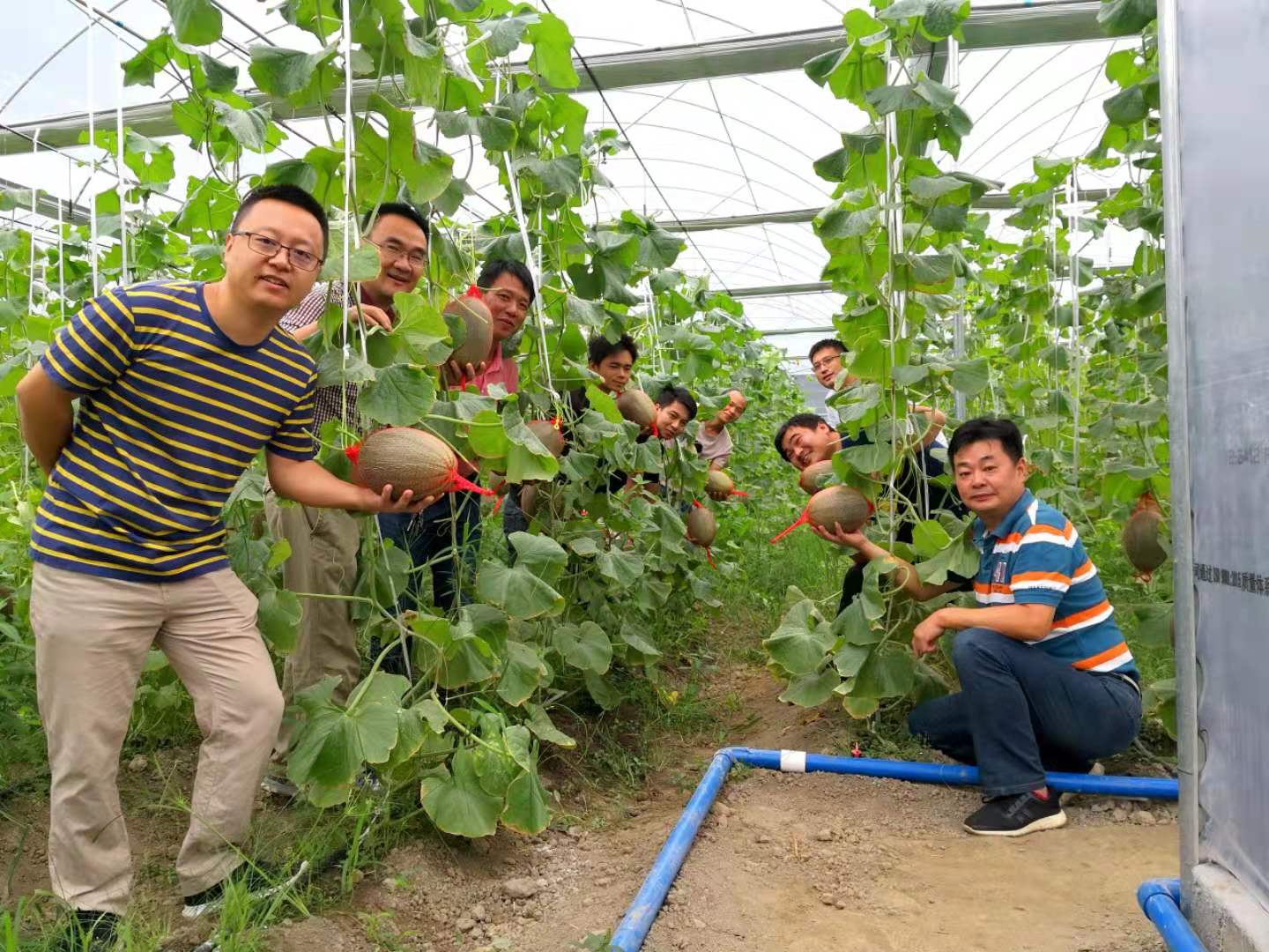 香港六宝合典资料大全