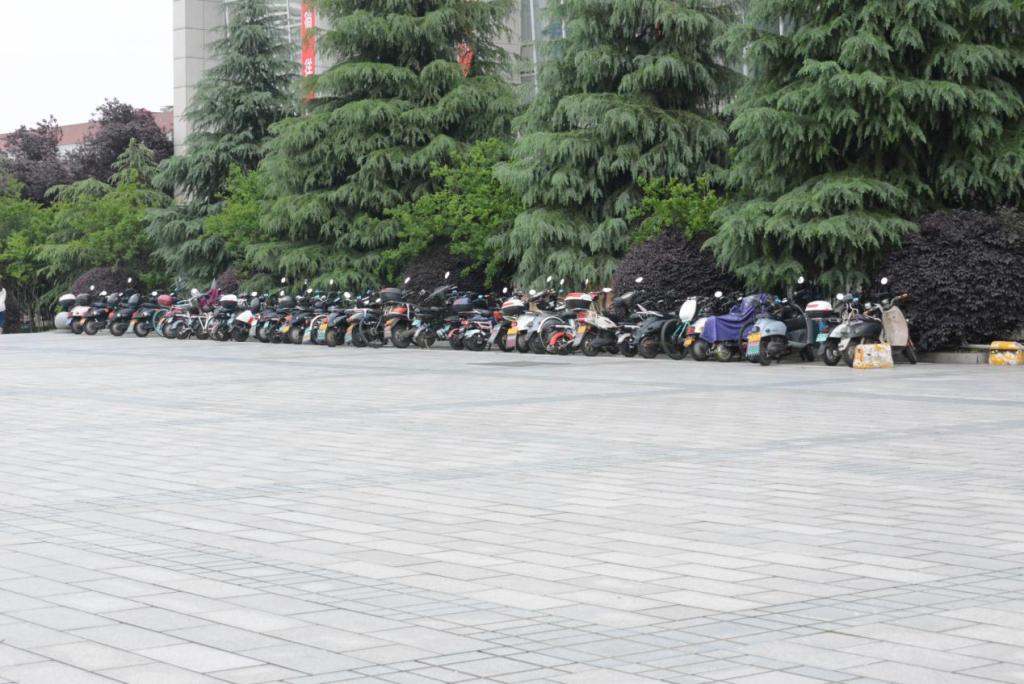 香港六宝合典资料大全