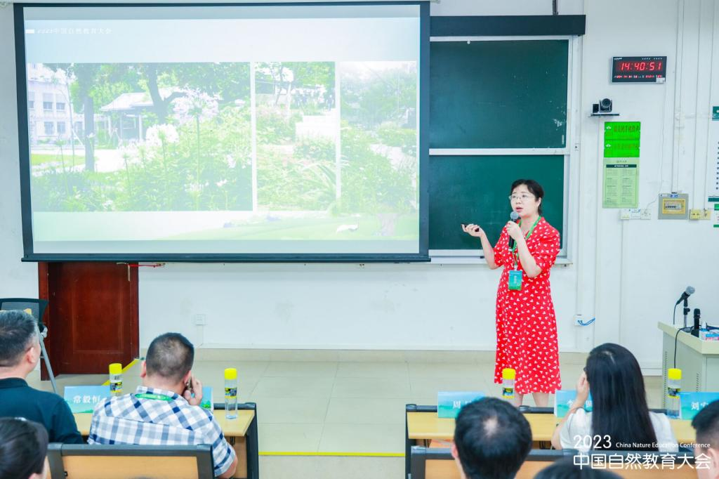 香港六宝合典资料大全